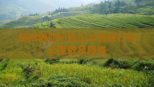 随州到四川乐山大佛旅行社