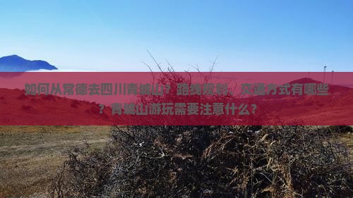 常德去四川青城山攻略