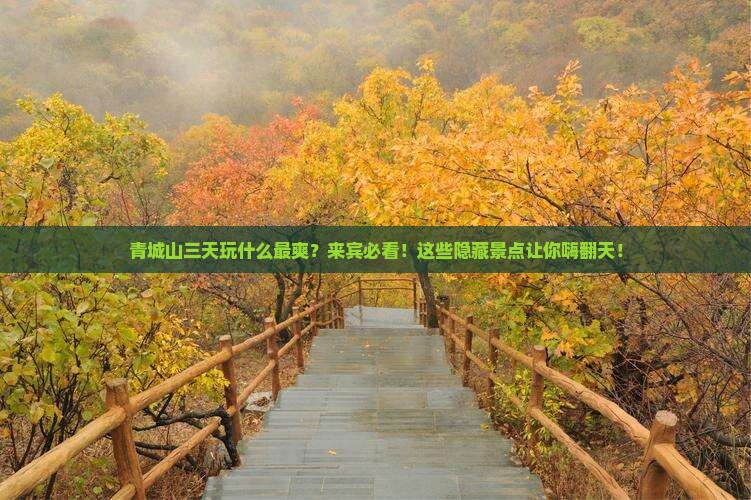 来宾去四川青城山三日游