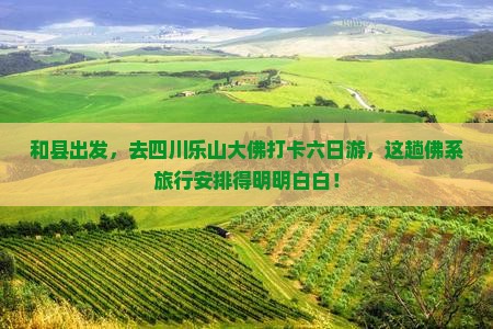 和县去四川乐山大佛六日游