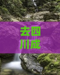 黄山去四川成都旅游 黄山去四川成都旅游