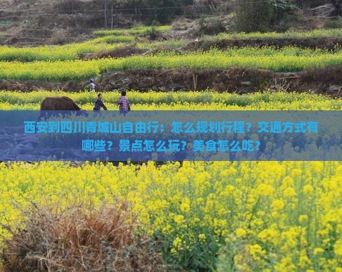 西安到四川青城山自由行