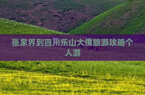张家界去四川乐山大佛个人游 张家界去四川乐山大佛个人游
