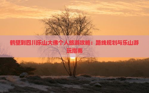 鹤壁到四川乐山大佛个人游