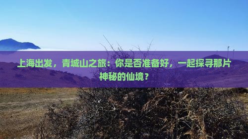 上海去四川青城山团体旅游