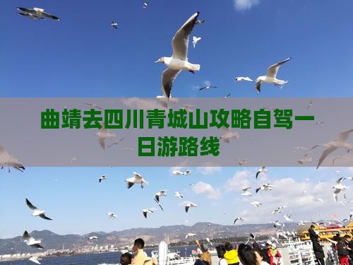曲靖去四川青城山攻略