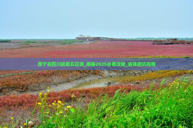 西宁去四川成都五日游
