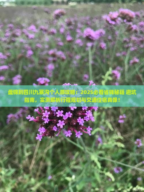 盘锦到四川九寨沟个人游