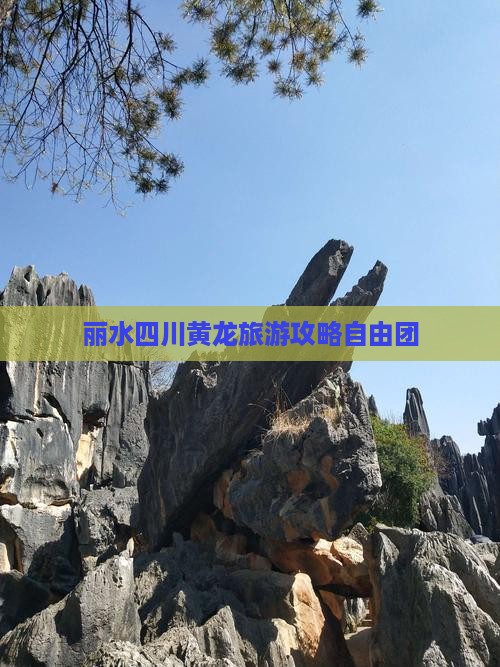 丽水去四川黄龙自由团