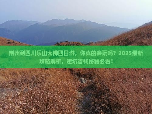 荆州到四川乐山大佛四日游