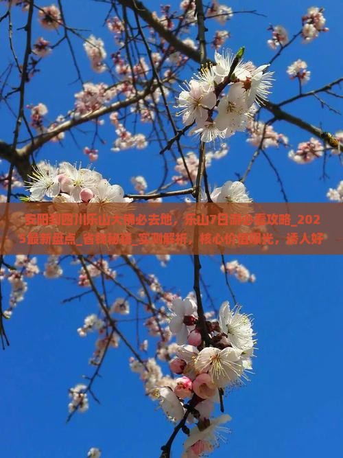 安阳到四川乐山大佛必去地