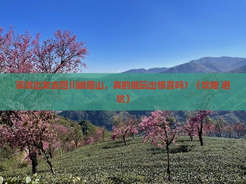 深圳到四川峨眉山自由行