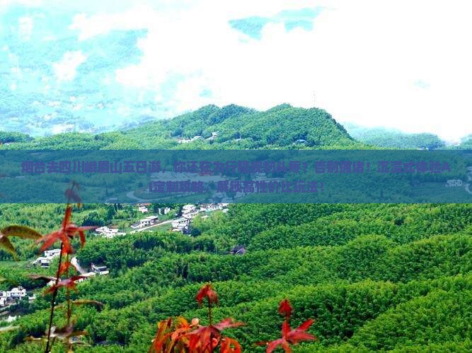 烟台去四川峨眉山五日游