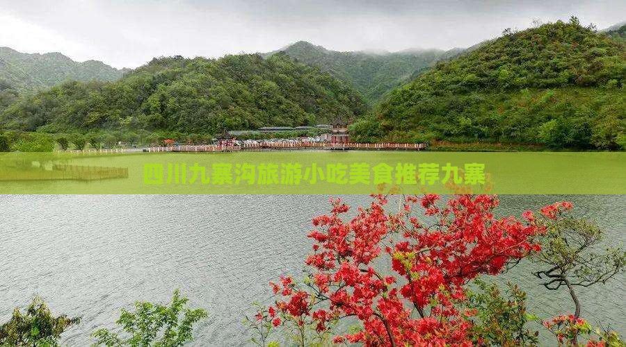 日照去四川九寨沟旅游小吃