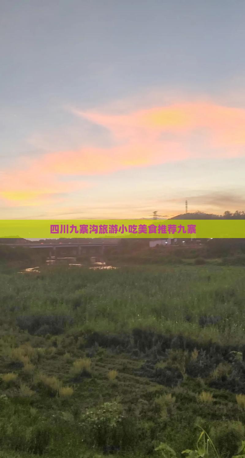 日照去四川九寨沟旅游小吃