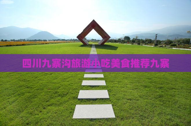 日照去四川九寨沟旅游小吃