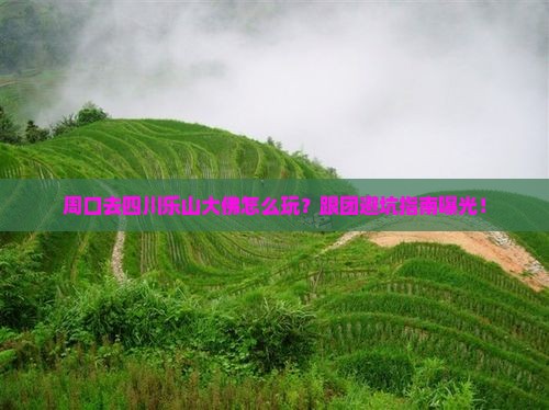 周口去四川乐山大佛团体旅游