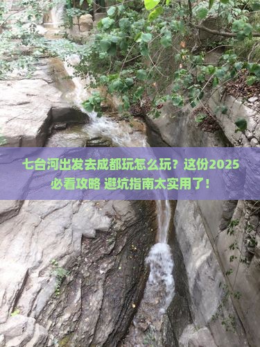 七台河去四川成都哪里玩