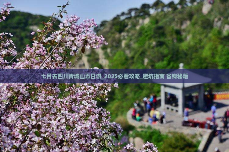 七月去四川青城山五日游