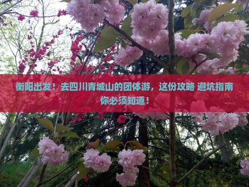衡阳到四川青城山团体旅游