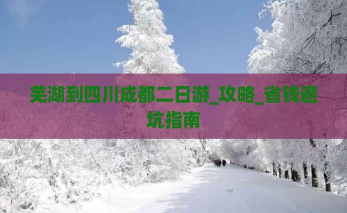 芜湖到四川成都二日游