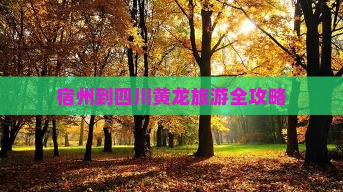 宿州到四川黄龙旅游全攻略
