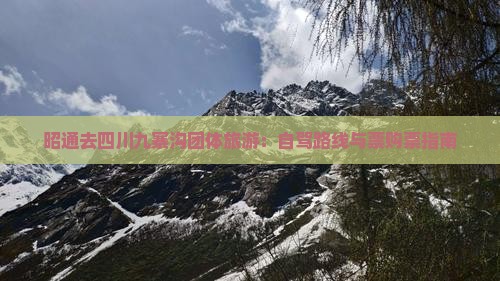昭通去四川九寨沟团体旅游：自驾路线与票购票指南