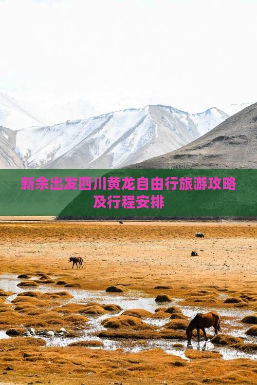 新余出发四川黄龙自由行旅游攻略及行程安排