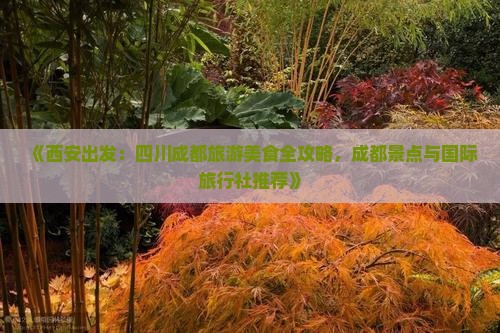 《西安出发：四川成都旅游美食全攻略，成都景点与国际旅行社推荐》
