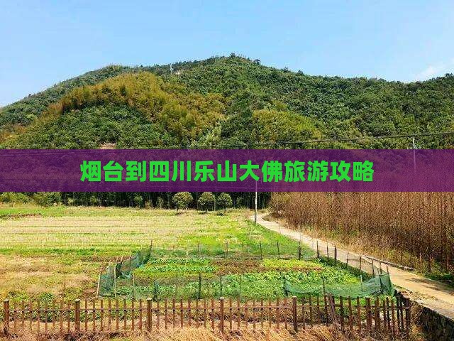 烟台到四川乐山大佛旅游攻略