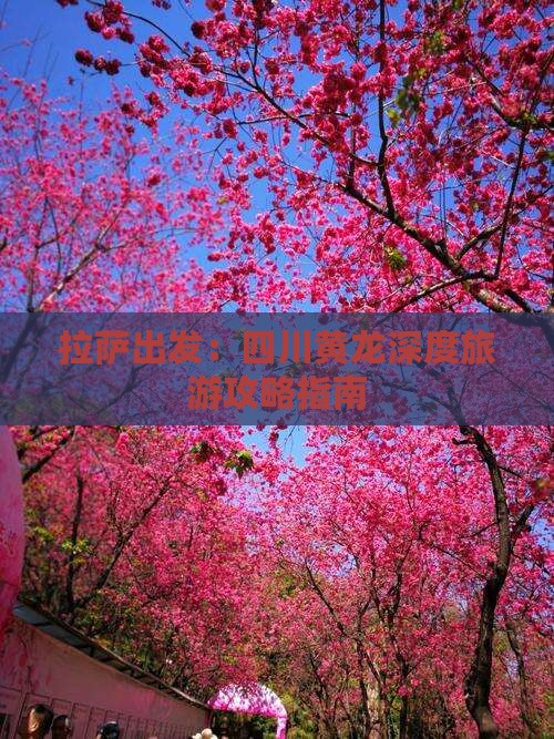 拉萨出发：四川黄龙深度旅游攻略指南