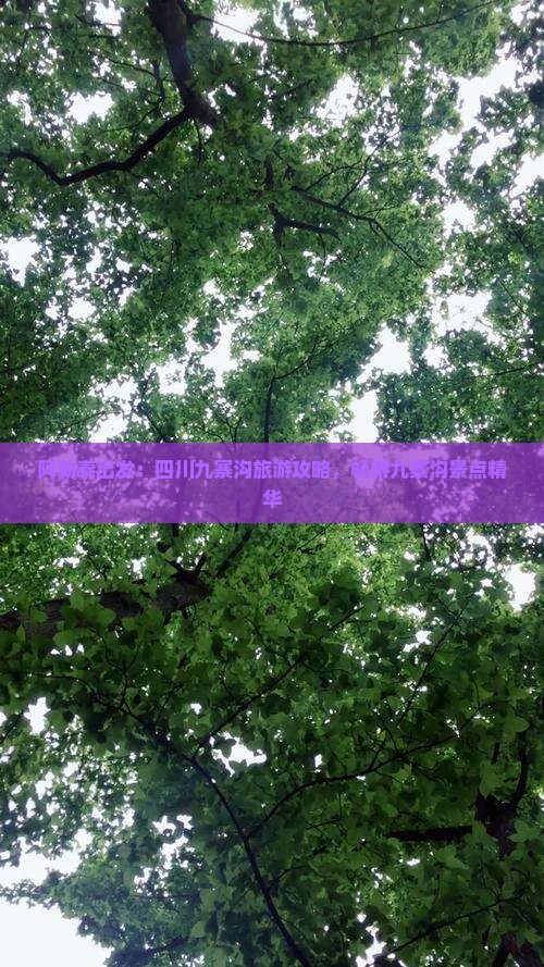 阿勒泰出发：四川九寨沟旅游攻略，畅游九寨沟景点精华