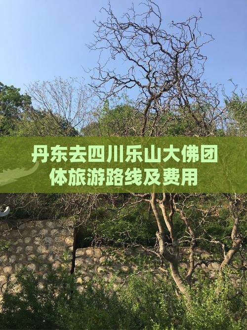 丹东去四川乐山大佛团体旅游路线及费用