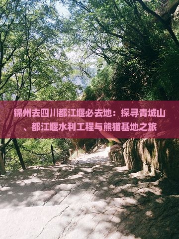 锦州去四川都江堰必去地：探寻青城山、都江堰水利工程与熊猫基地之旅