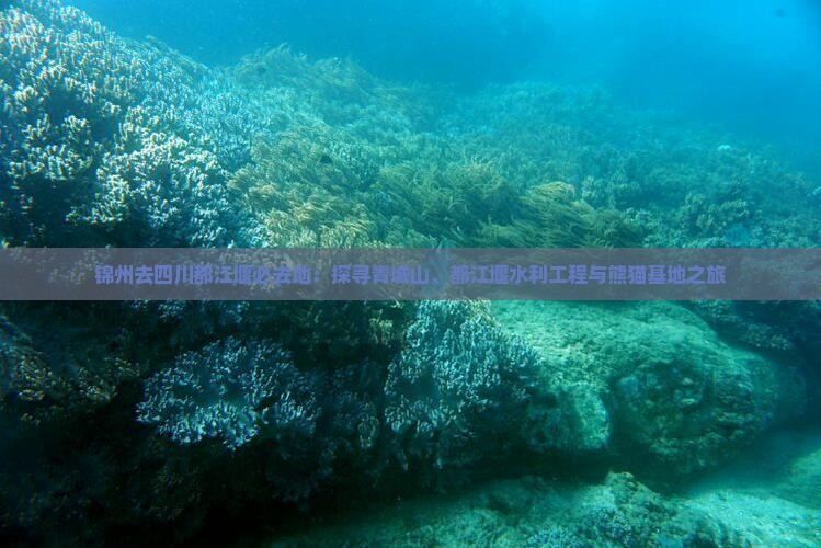 锦州去四川都江堰必去地：探寻青城山、都江堰水利工程与熊猫基地之旅