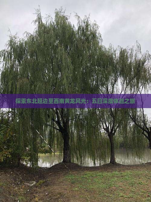 探索东北延边至西南黄龙风光：五日深度体验之旅
