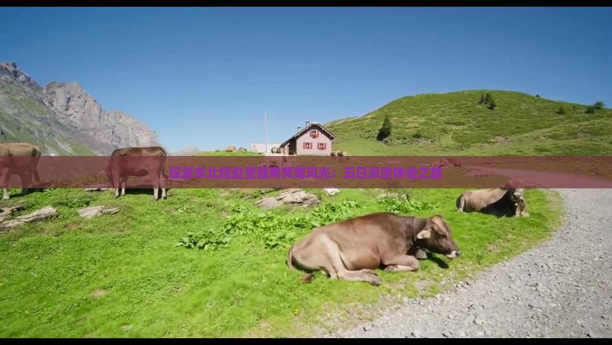 探索东北延边至西南黄龙风光：五日深度体验之旅