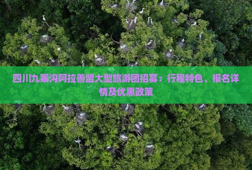 四川九寨沟阿拉善盟大型旅游团招募：行程特色、报名详情及优惠政策