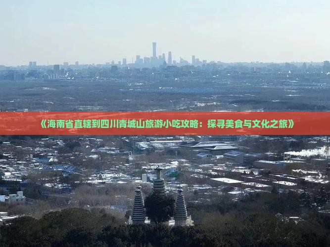 《海南省直辖到四川青城山旅游小吃攻略：探寻美食与文化之旅》
