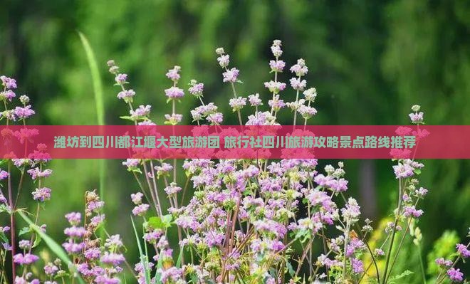 潍坊到四川都江堰大型旅游团 旅行社四川旅游攻略景点路线推荐