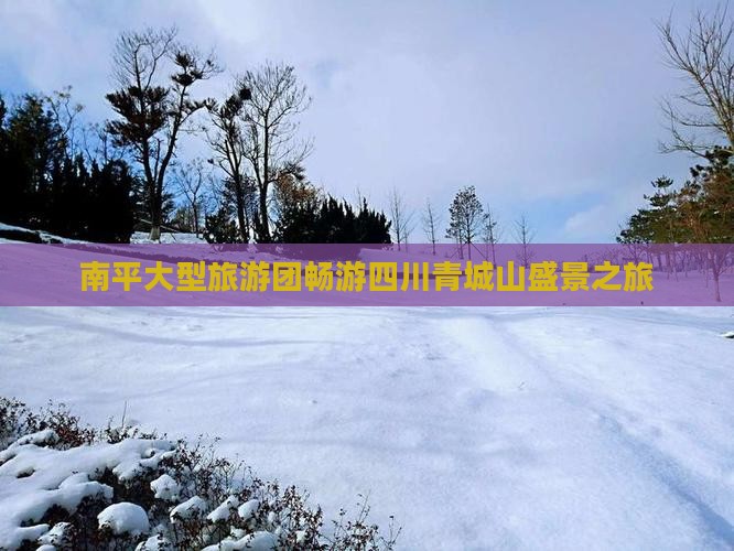 南平大型旅游团畅游四川青城山盛景之旅