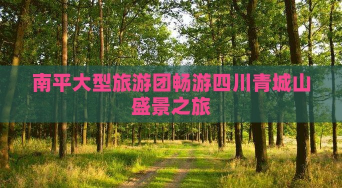 南平大型旅游团畅游四川青城山盛景之旅
