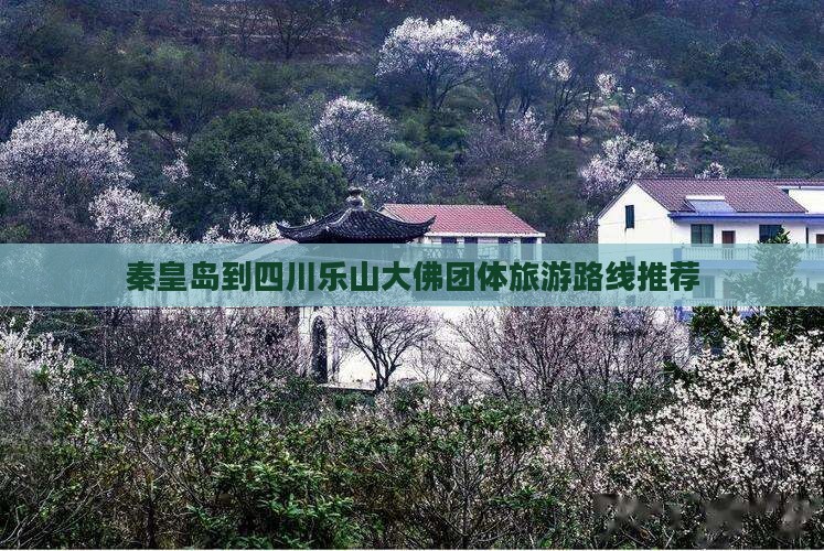 秦皇岛到四川乐山大佛团体旅游路线推荐