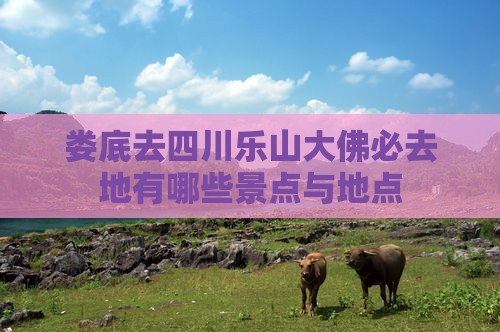 娄底去四川乐山大佛必去地有哪些景点与地点