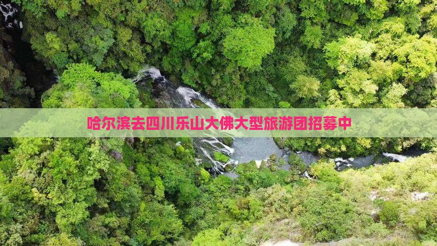 哈尔滨去四川乐山大佛大型旅游团招募中