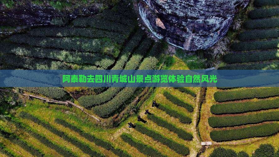 阿泰勒去四川青城山景点游览体验自然风光