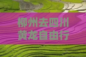 柳州去四川黄龙自由行