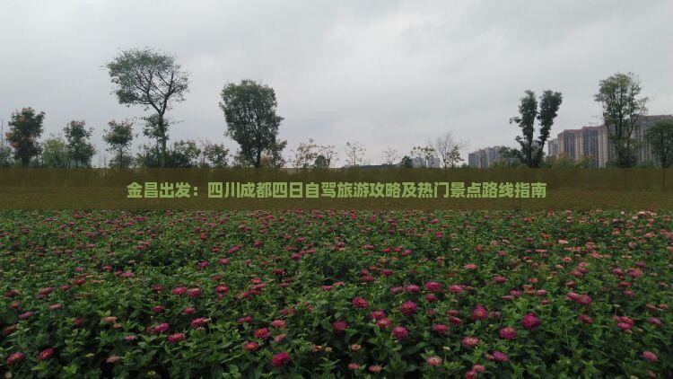 金昌出发：四川成都四日自驾旅游攻略及热门景点路线指南