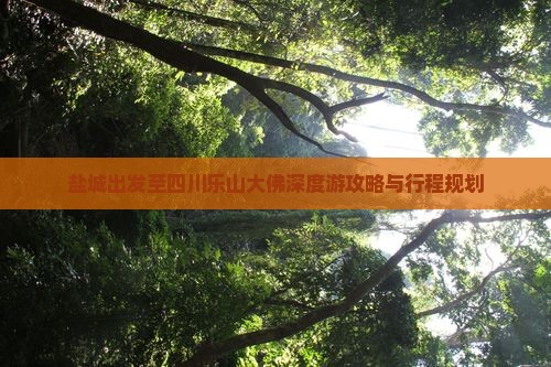 盐城出发至四川乐山大佛深度游攻略与行程规划