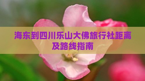海东到四川乐山大佛旅行社距离及路线指南
